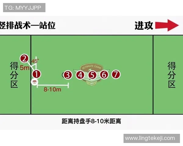 飞盘焦点:深入分析杭州飞盘队的团队协作与战术配合